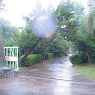 綠野山莊花園餐廳