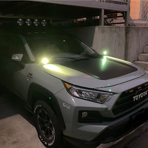 RAV4 MXAA54