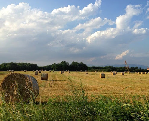 Summertime  di Cinziab