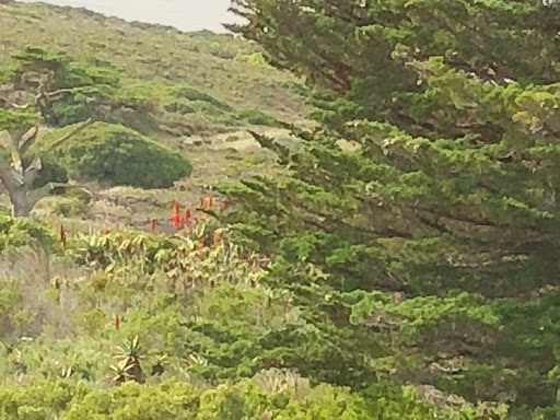 Cape Point South Africa 2018