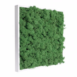 Tableau 60 x 60 cm végétal vert naturel