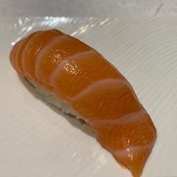 Salmon Nigiri Sushi