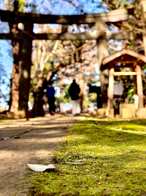 GLAの春のドライブ・印旛沼・鷲神社・佐倉市・GLA45 AMGに関するカスタム事例の投稿画像3枚目