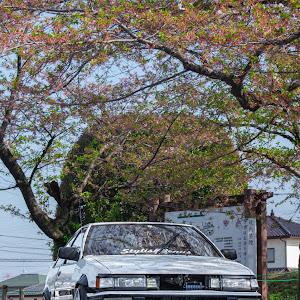 カローラレビン AE86