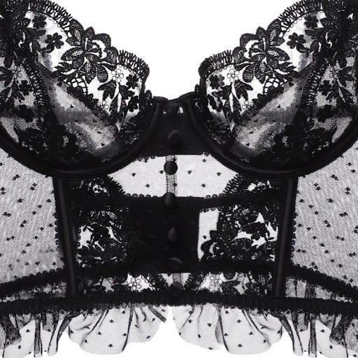 Title 38, Gathering Beauty Back Sheer Embroidered Lace Br...