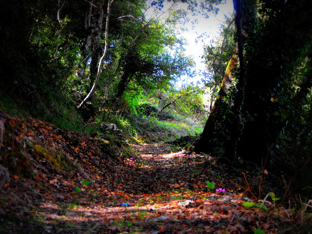 Il viale delle Fate .... di Santino Serio