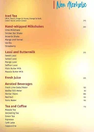 Salt - Indian Restaurant Bar & Grill menu 2