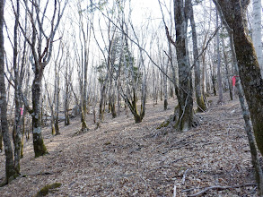 広い尾根を進む