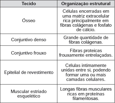 imagem de atividade do enem sobre tecido conjuntivo