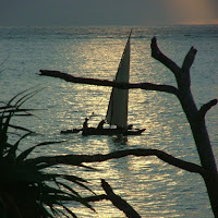 Di notte a zanzibar di 