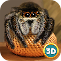 Spider Pet Life Simulator 3D icon