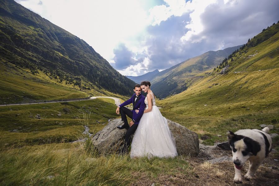 Fotógrafo de bodas Marius Nistor (mariusnistor). Foto del 2 de septiembre 2022