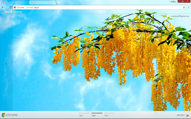 Blossom Colorful Spring Sunny Yellow chrome extension