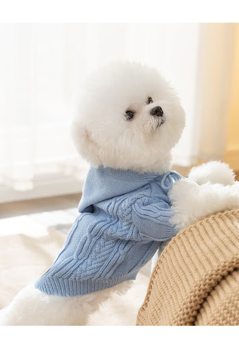 Title 7, Cat Fur Ball Sweater for Teddy Dogs, Two Feet, ...