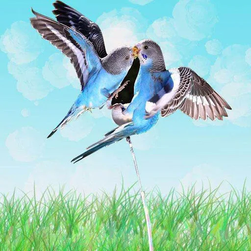 3/5/10/15/20m Parrot Bird Flying Training Leash Ultra-light Flexible Rope Anti-bite Outdoor Macaw Cockatiel Training Too