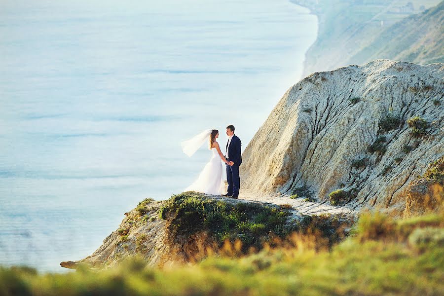 Photographe de mariage Aleksey Gorodko (agor). Photo du 12 juillet 2013