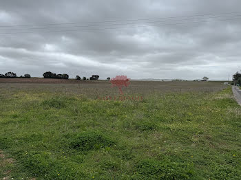 terrain à Saint-André-de-Sangonis (34)