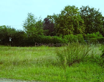 terrain à Charenton-du-Cher (18)