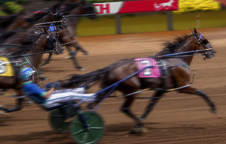 Harness Racing small promo image