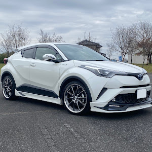 C-HR NGX50