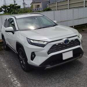 RAV4 AXAH54