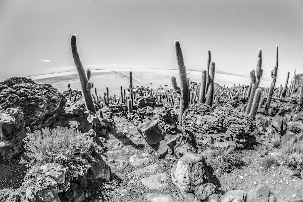 lost in Bolivia di simona cancelli