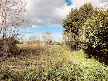 terrain à Juigné-Sur-Loire (49)