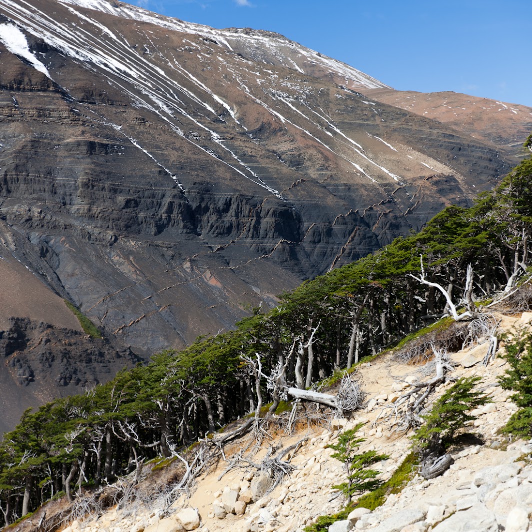 Патагония: Carretera Austral - Фицрой - Торрес-дель-Пайне. Треккинг, фото.