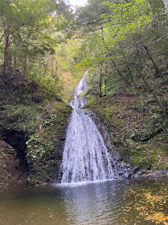 の投稿画像2枚目