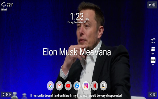 Elon Musk MeaVana