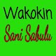 Download Wakokin Sani Sabulu For PC Windows and Mac 2.0