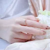miniatures image - 0