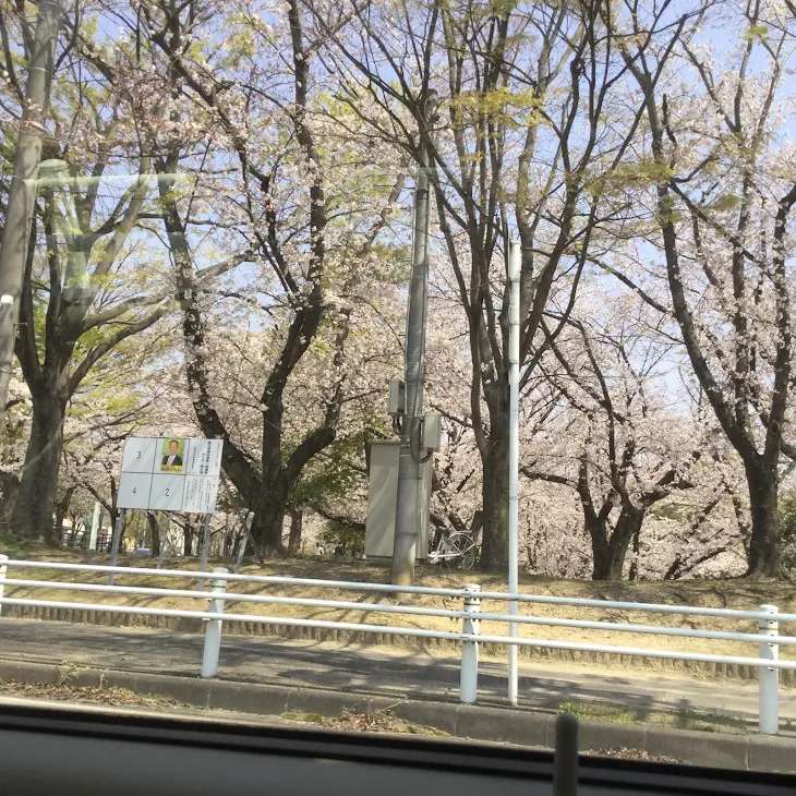 「みんなの姿(思わない恋)」のメインビジュアル