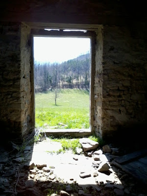 Una porta sul verde di PhotoLoris