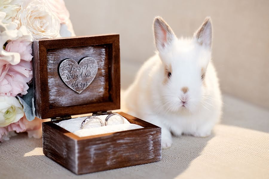 Fotografo di matrimoni Slava Grebenkin (slava-grebenkin). Foto del 1 aprile 2017