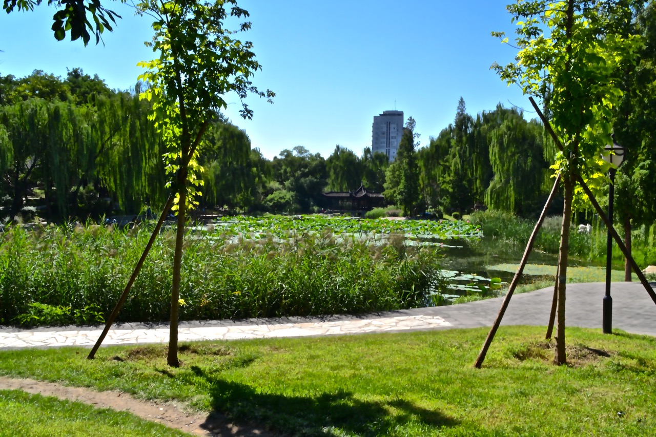 Verde in città di AndyT