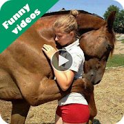 Funny videos for whatsapp 1.7 Icon