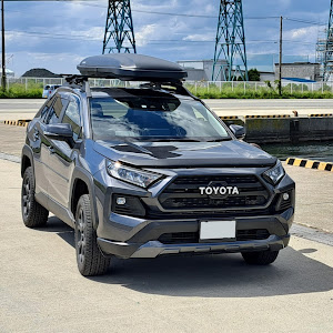 RAV4 MXAA54