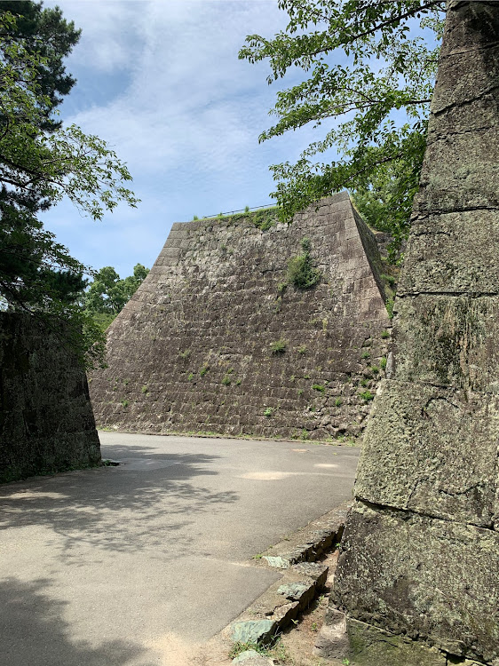 の投稿画像10枚目