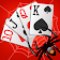 Spider Solitaire icon