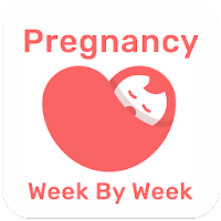 Pregnancy Week By Week Guide