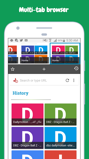 Screenshot Video Downloader, برنامج تنزيل