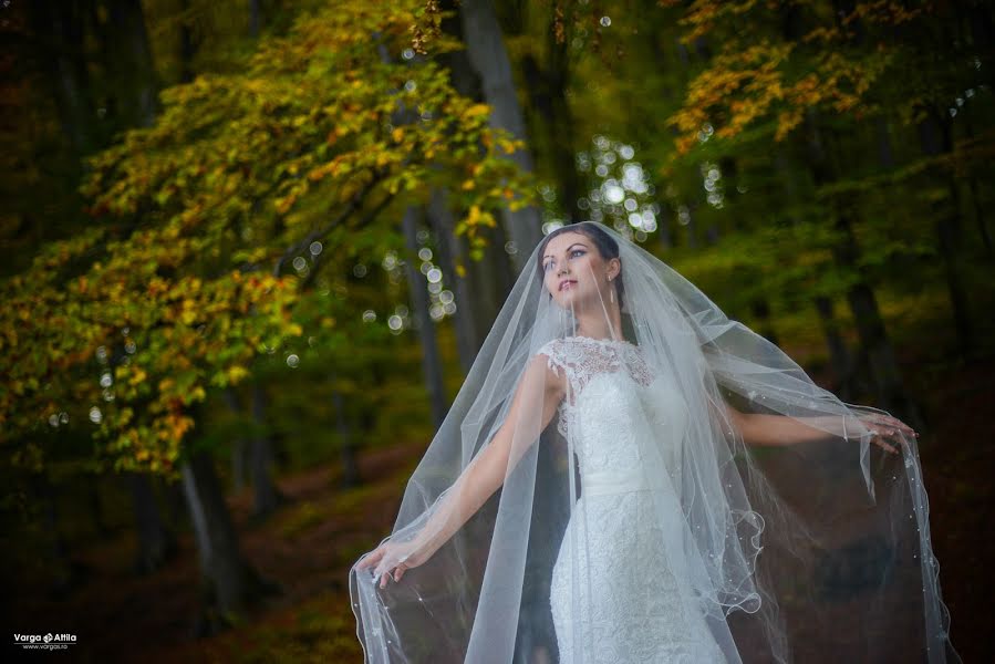 Fotografo di matrimoni Varga Attila (vargas). Foto del 25 marzo 2015