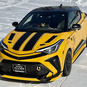 C-HR NGX10