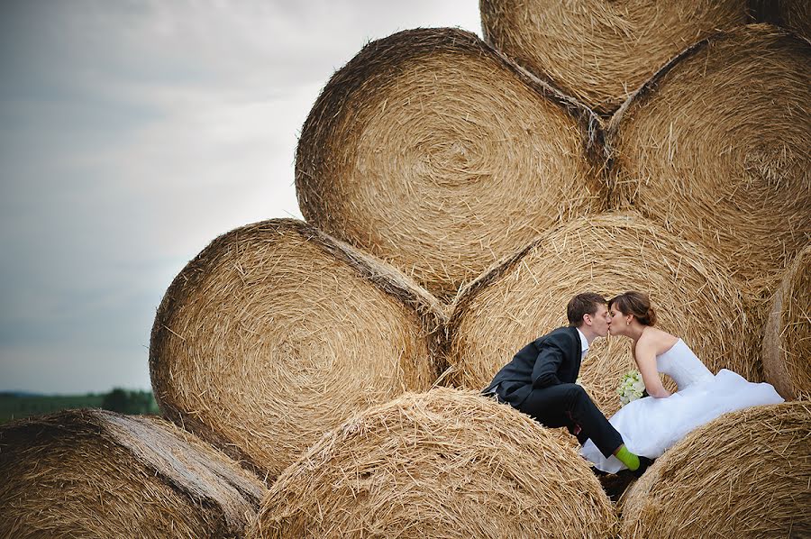 Wedding photographer Žaneta Malá (zanetamala). Photo of 30 March 2017