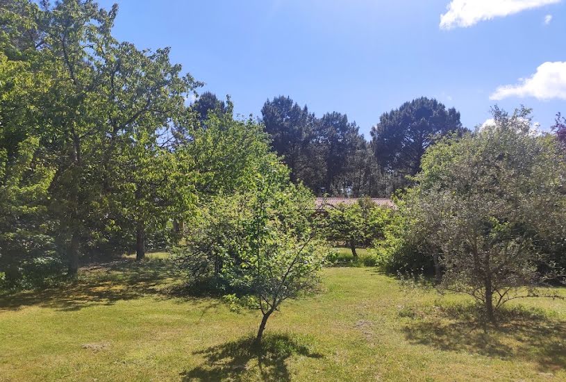  Vente Terrain à bâtir - 740m² à Lesparre-Médoc (33340) 