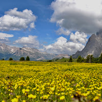 Alpe di Siusi di 