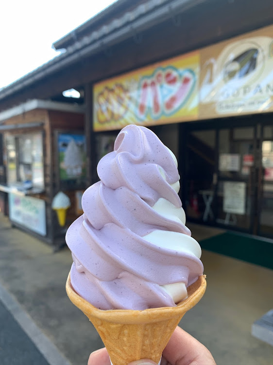 N-VANの敦賀ヨーロッパ軒・SA PA巡り・食うチューン・えびせんべいの里・恋人の聖地❤に関するカスタム事例の投稿画像13枚目