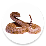 Cover Image of Unduh Rattlesnake 1.2.7 APK