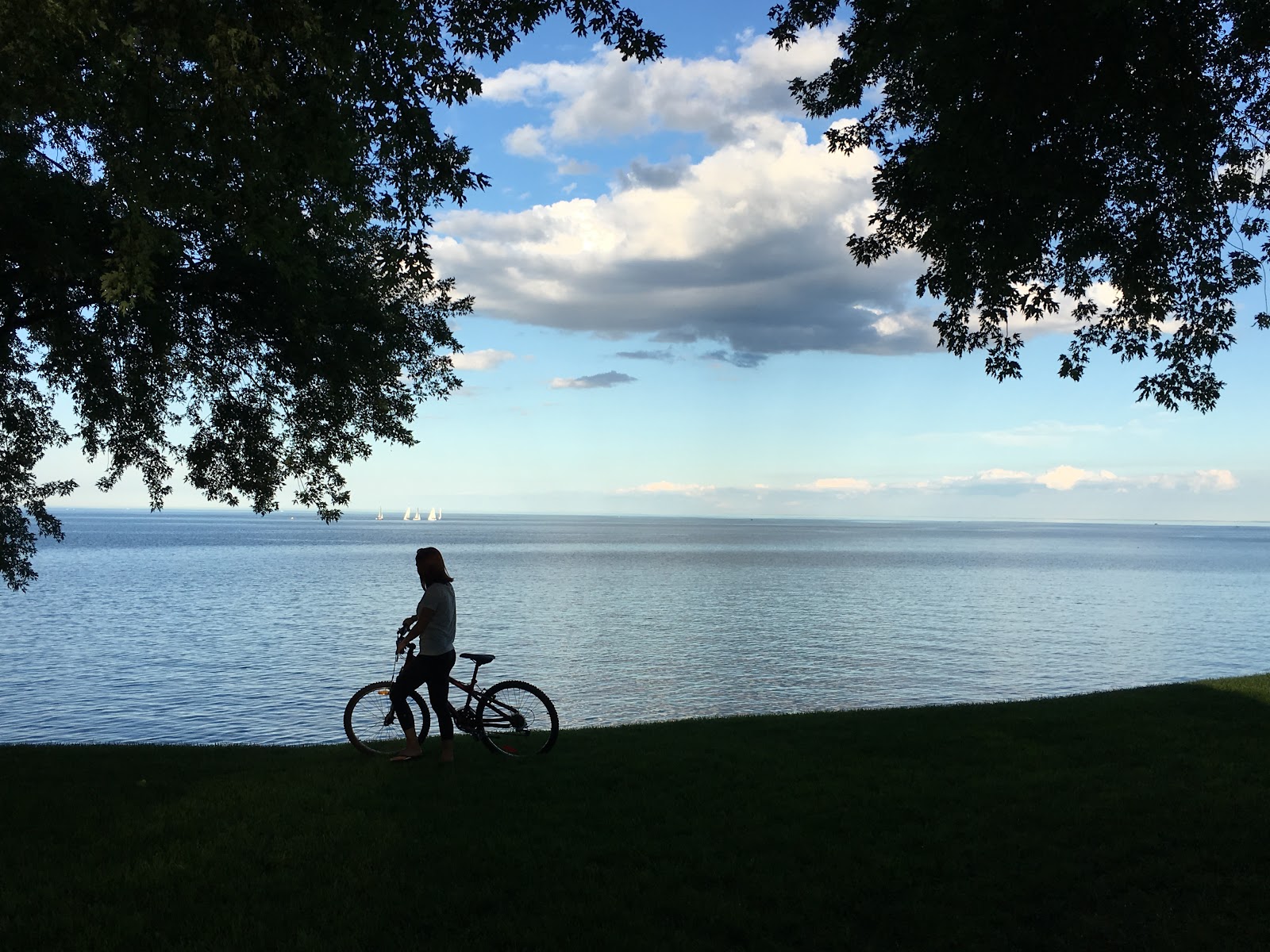 waterfront trail